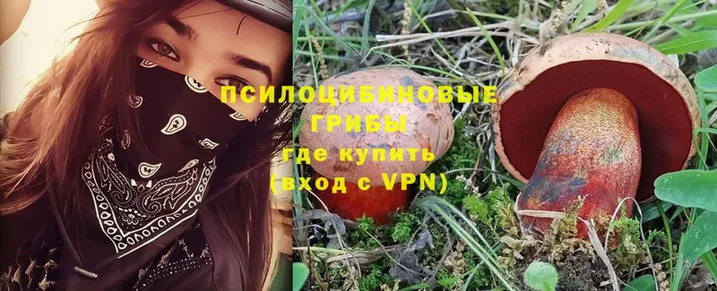 Галлюциногенные грибы GOLDEN TEACHER  kraken как войти  Козельск 