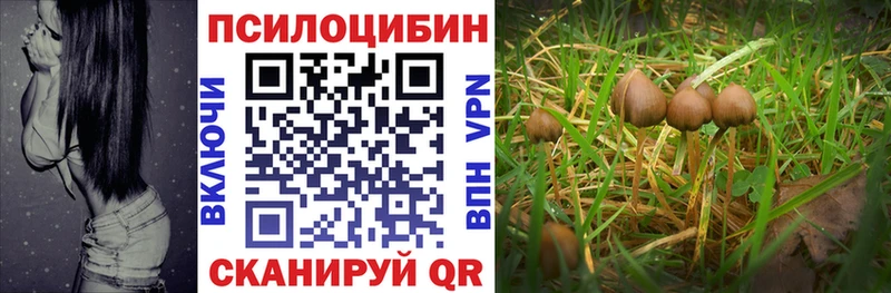 Галлюциногенные грибы Magic Shrooms  купить наркотик  Козельск 